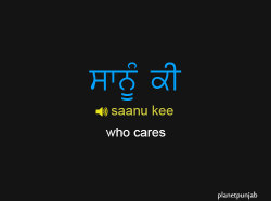 planetpunjab:  Punjabi Words: saanu kee ->