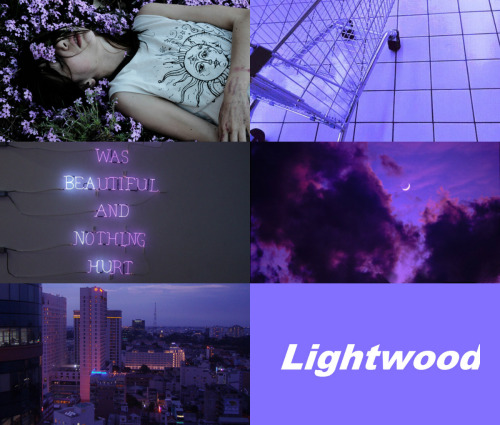 mortalinstrumentsinfernaldevices:ISABELLE LIGHTWOOD + PURPLE“There are things our souls want and min