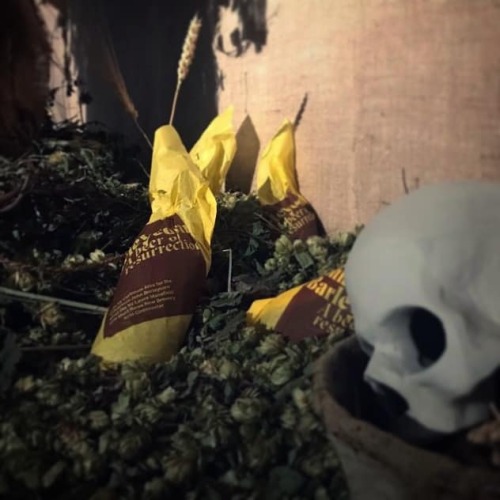 fallbabylon:John Barleycorn Must Die- art exhibition, Cirencester, England