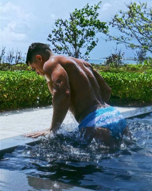 Speedo Celebration