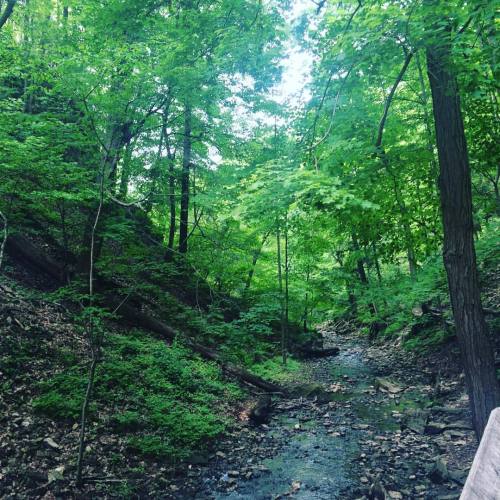 Tiffany Falls #tiffanyfalls #hiking #nature #beautiful #hamont #love