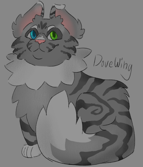 Blind Drawing Warrior Cats As Someone Who's Never Read It