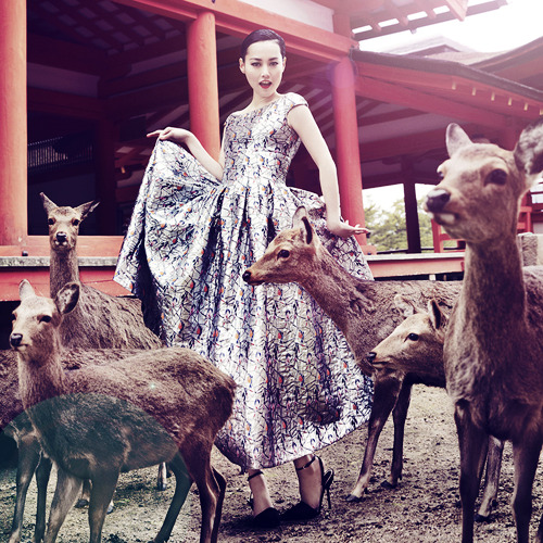 visenyatargaryen-blog:  Rinko Kikuchi photographed by Akinori Ito 