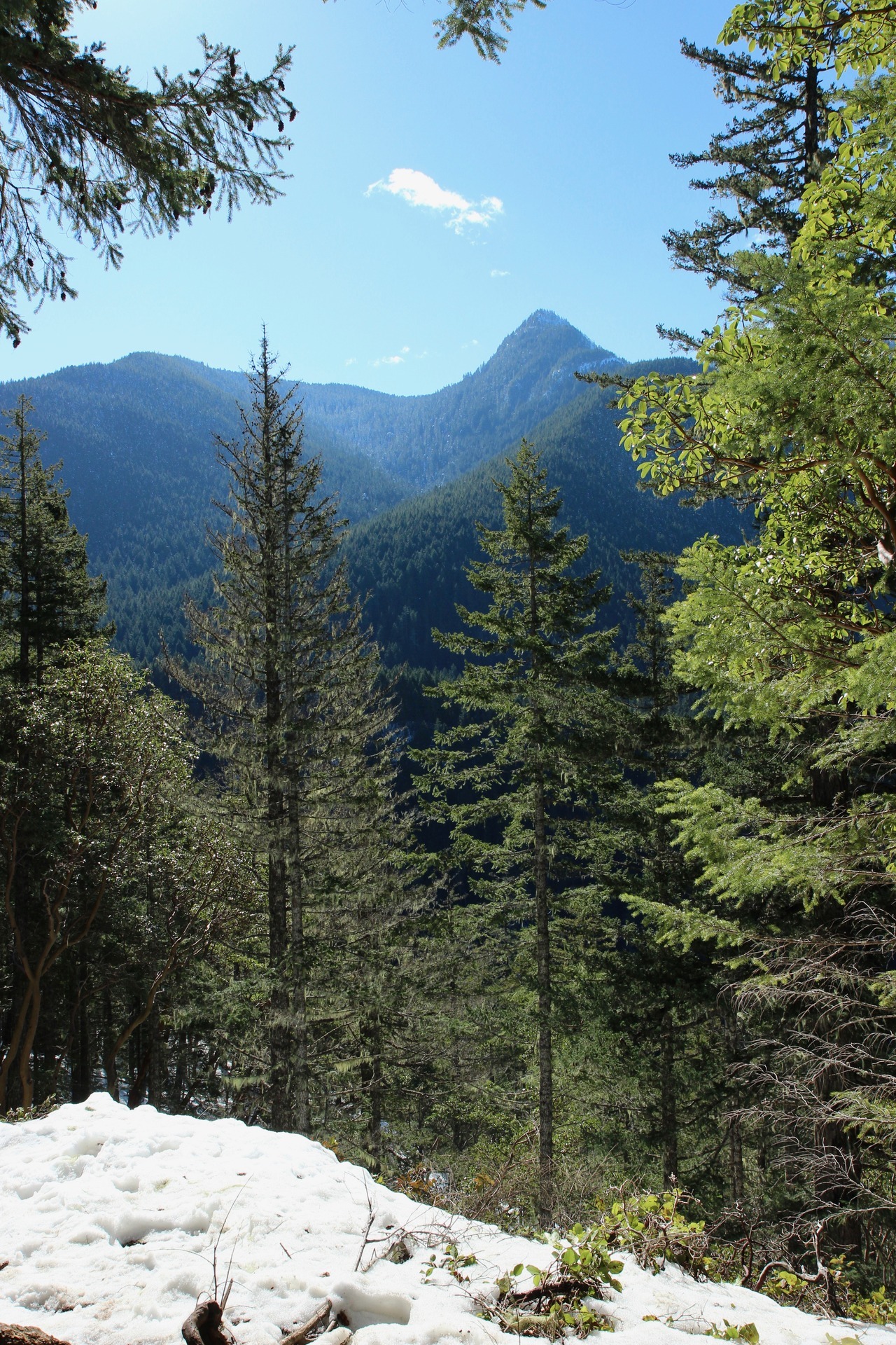 burningmine: View from Mount Storm King, March 2019