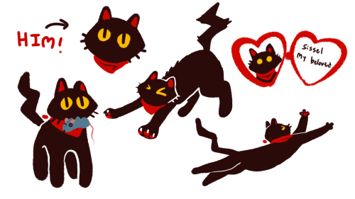 stardoop:love is stored in the sissel