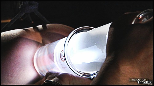 bridle-and-bit:  Prepared for a special injection.