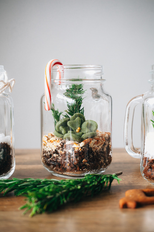confectionerybliss:  Gingerbread Terrariums | Molly Yeh 