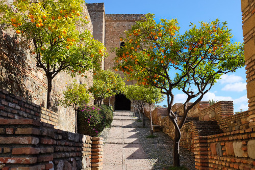 breathtakingdestinations: Alcazaba - Malaga - Spain (by Kristoffer Trolle) 