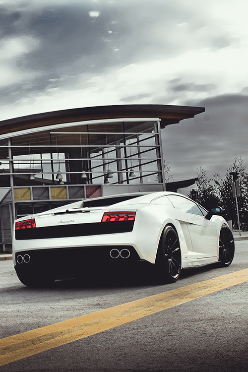 auerr:  Lamborghini Gallardo LP560 