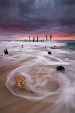 radivs:  'Dragon in the Sea' by Dylan Toh &amp; Marianne Lim 
