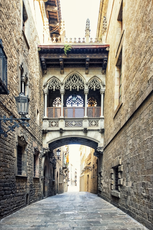 natasha1200-blog: soaveintermezzo: Bishop’s Bridge, Barcellona, Spagna.Credito:  Manjik P