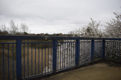 The view, at tree top height, from a pedestrian walkway over the A40, of the wetlands area near Nich