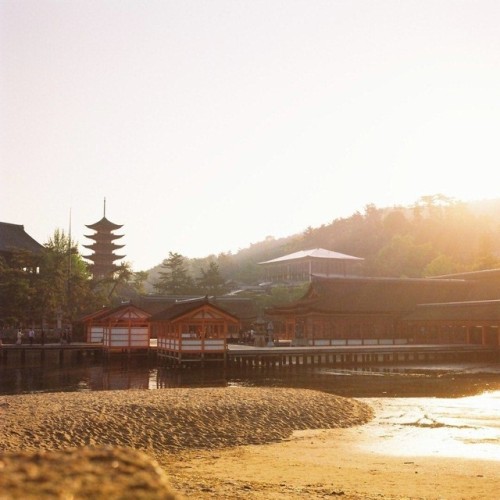 また行きたい、あの場所へ。 miyajima itsukushima shrine