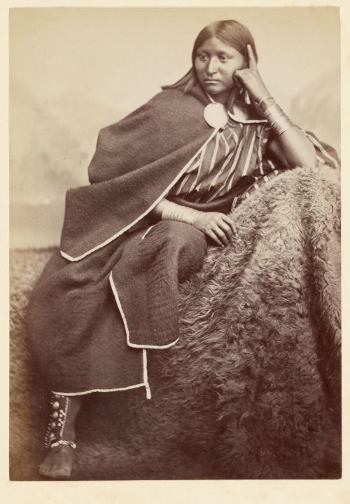 William Stinson Soule (American, 1836 - 1908) - Comanche Squaw, 1869–1874.     