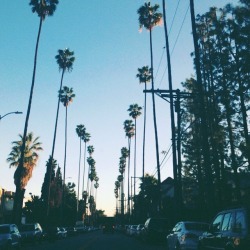 acslaterrr:  california vibes/