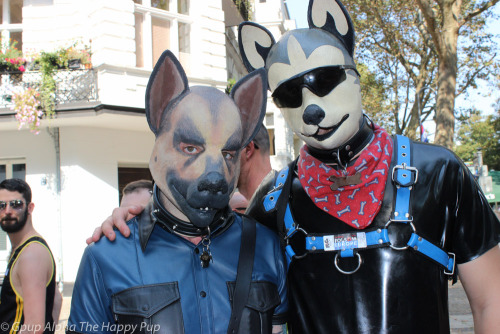 Mr Pup Switzerland! You can learn more about human pup play here: http://SiriusPup.net http://TheHappyPup.com http://PupSafeProject.org 