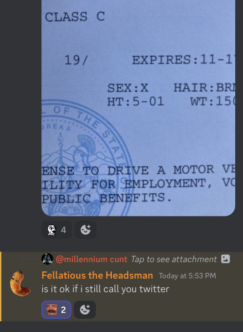 a discord screenshot containing a message with a photo of an intermittent driver's license with the gender marker as X. it is followed by a reply from "Fellatious the Headsman" saying "is it ok if i still call you twitter"