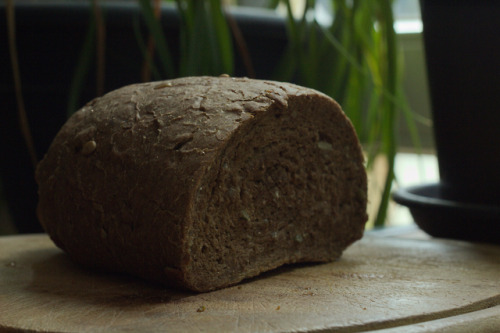 rosariumlane: I am baking my own bread these days :) Part of my desire to step away from the obsessi