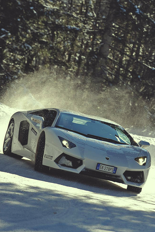 johnny-escobar:  Aventador 