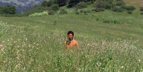 smmittens:  toro y moi 