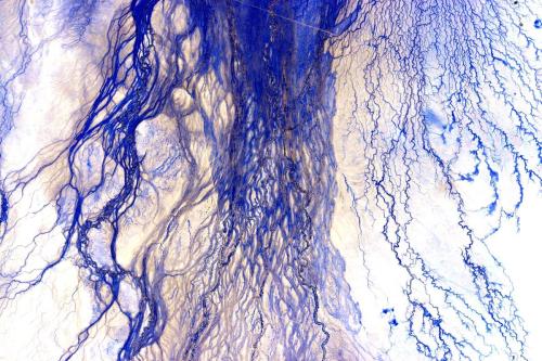 The Diamatina River in Australia.Picture by Scott Kelly from his year in space in the international 