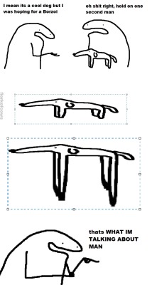 flork-of-cows-unofficially:borzoi