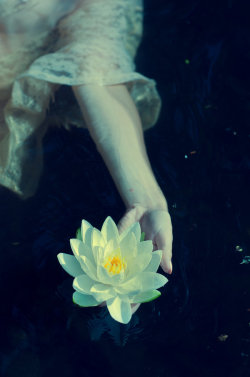 requiem-on-water:just let go by Violetessa (Steffi)