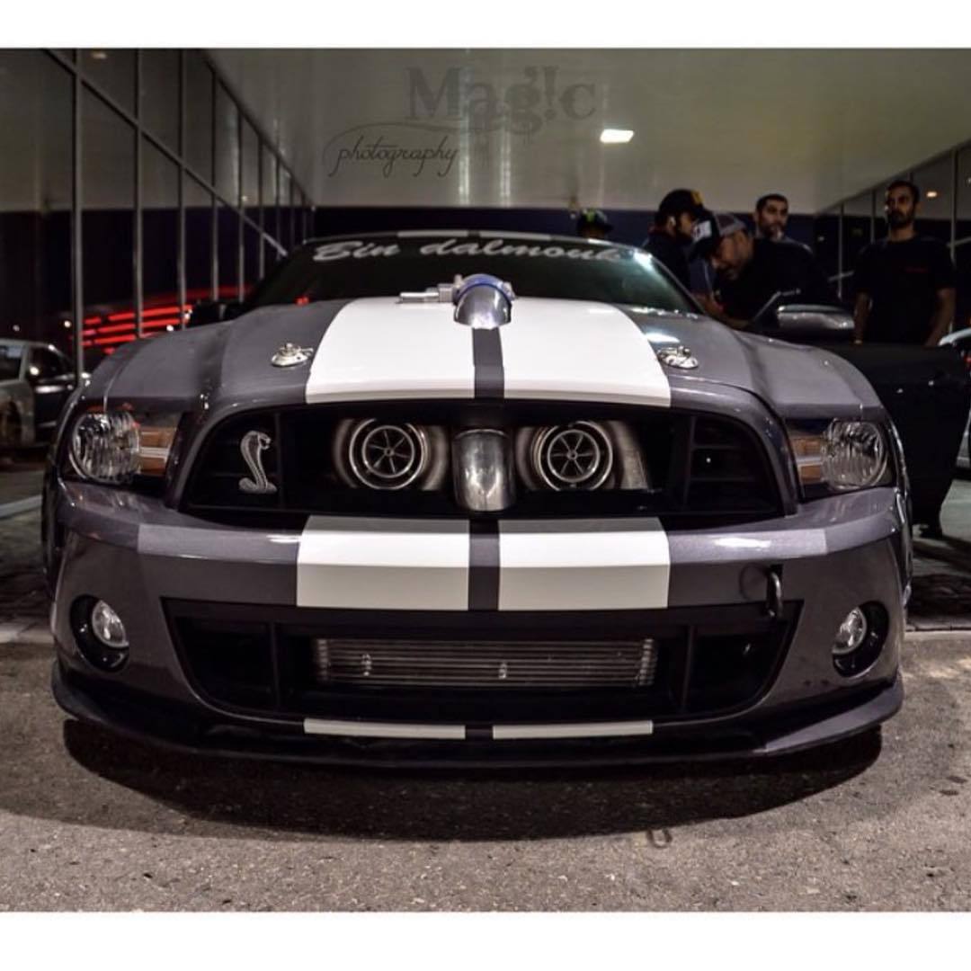 musclefords:  @igfords #ford#Mustang#SVT tag-&gt; #american_muscle_mustangs /