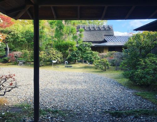 旧佐伯邸（松伯美術館）[ 奈良県奈良市 ] Former Saeki House Garden, Nara の写真・記事を更新しました。 ーー巨匠 #村野藤吾 の和風建築の代表作にも挙げられる、近鉄グ