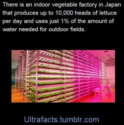 ultrafacts:  (Fact Source) Follow Ultrafacts for more facts 