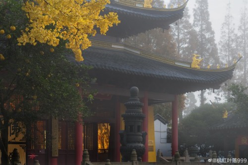 fuckyeahchinesegarden:藏海寺canghai temple, suzhou, jiangsu province by 枫红叶落999