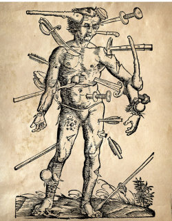 allegedlyobscure:(Vintage Anatomy Reproduction