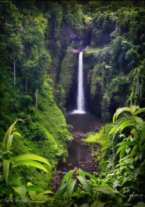 pata-caliente: Sopoaga Falls | Upolu, Samoa (by Aaron Bishop)