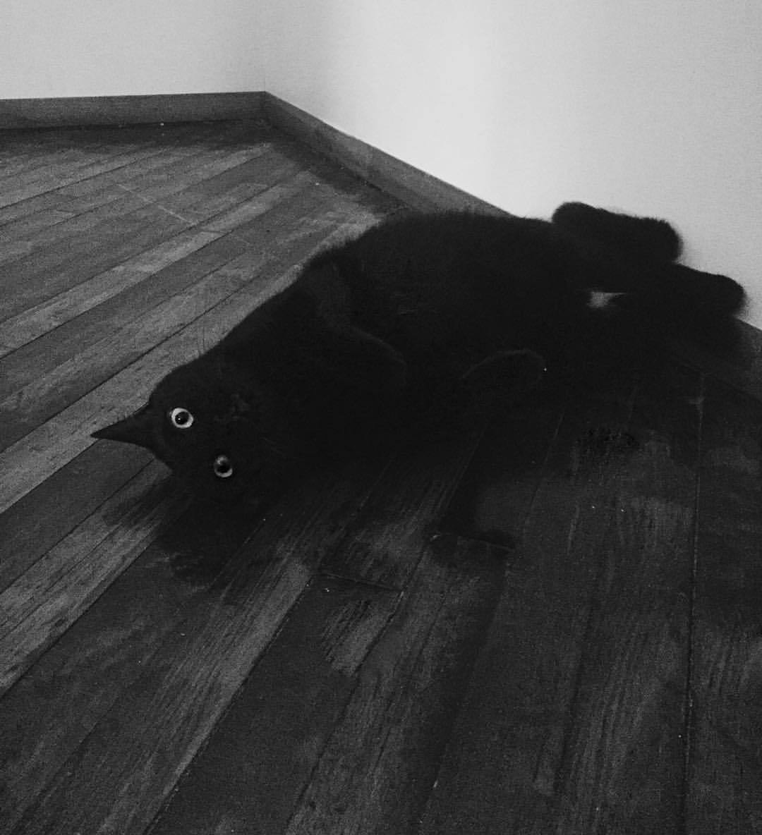 House of October