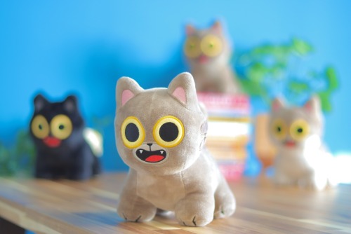 ✨Our Super Adventure Plush Cats!✨ We can’t wait to send a bunch of these beautiful cats into t