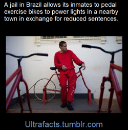 ultrafacts:  Inmates in Brazil’s Santa Rita do Sapucai prison can now put the pedal to the metal to shorten their time behind bars.The city’s judge has instated a policy that rewards prisoners for generating energy by riding stationery bikes, according