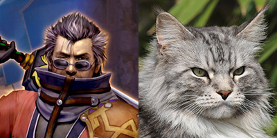 amandablogsthings:  Final Fantasy X : Catnip 
