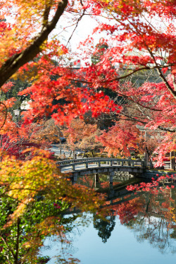 lensnuma:  秋の永観堂/Eikando in autumn on Flickr.