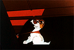 Oliver & Company- (1988) Dir. George Scribner 