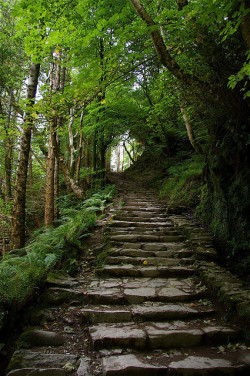lori-rocks:  Killarney Torc Waterfall Steps (by David Sedlmayer)