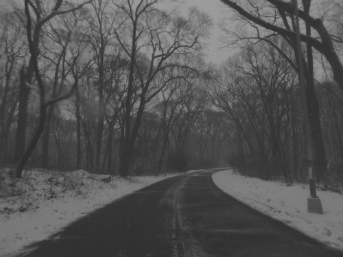 thefunerarydirgeofaviolinist:  By the Funerary Dirge of a ViolinistRemove the photo credit and so help me I will hunt you down, remove your organs, and sell them on the black market. 