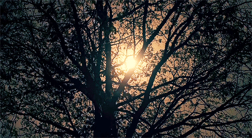 SPN Hiatus Creations | Week Seventeen | Sets Or Scenery The Sky