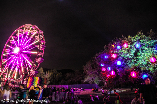 omgitskaricakes: Nocturnal Wonderland 2013. Photo Credit: Kari Cakes Photography. To see all the pho