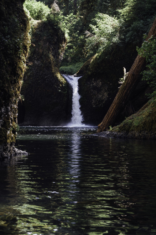 kovthephotographer:Eagle Creek, OregonPunchbowl Falls, Metlako Falls, Eagle Creek Canyon.