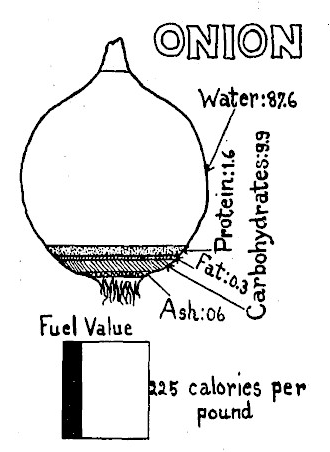 The “fuel values” of foods brought to you by The Domestic Science Department in the Farmer’s Wife ma