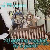 Yibo Please
