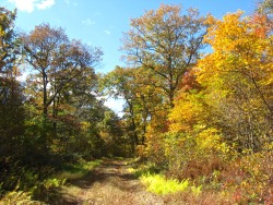 geopsych:  Autumn on the Kittatinny Ridge.