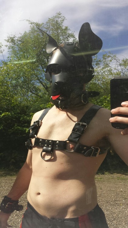 Porn photo divepup:  Was a dawg out playing in the woods