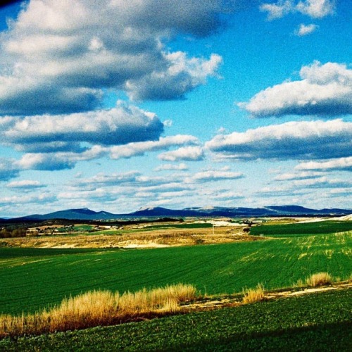 #bib_ #analogic #analogico #paisajes #landscape #kodakektachrome #kodake100 #nature #naturephotograp