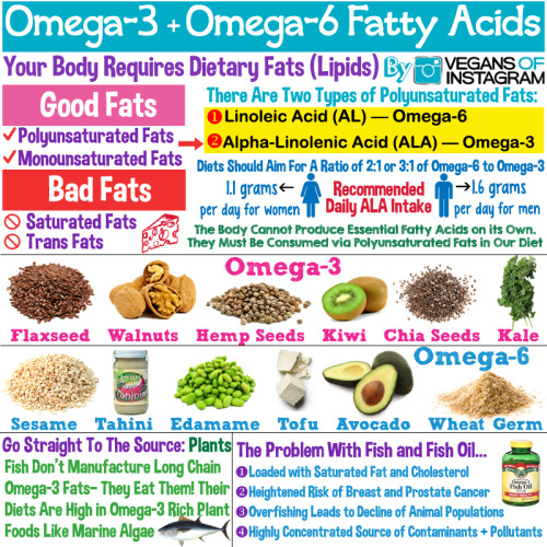 Your body requires dietary fats (Lipids). Fat provides essential fatty acids that the body can’t pro